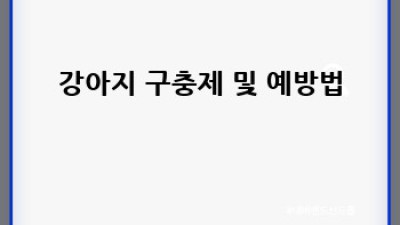 댕댕이 건강 똑똑하게 챙기기🐶 건강검진부터 예방접종까지
