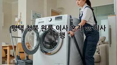 평택 청북 원룸 이사, 혼자 vs 이사 대행? 🤔